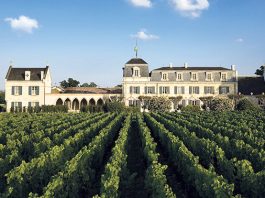 FLACONS DE RÊVES ET VINS DE FÊTES