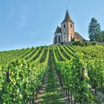 L’INVESTISSEMENT EN FONCIER RURAL