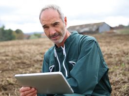 LES GROUPEMENTS FONCIERS