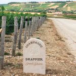 LA BOURGOGNE ET LA CHAMPAGNE INSCRITES AU PATRIMOINE MONDIAL DE L’HUMANITÉ